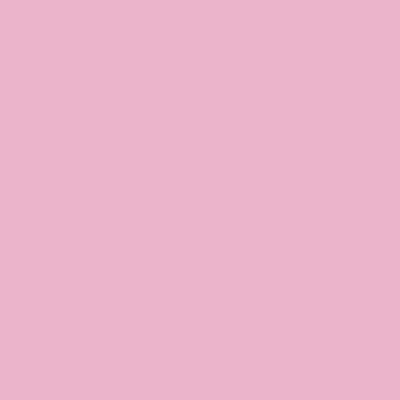 Light Pink - Custom Socks Now