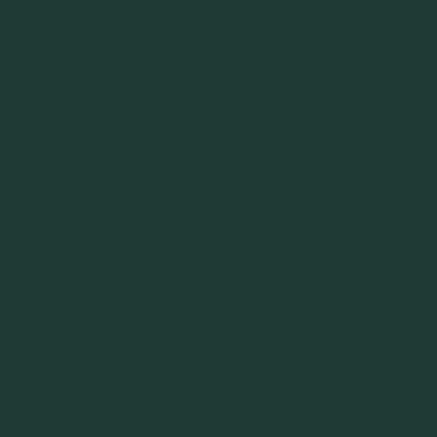 Dark Green - Custom Socks Now