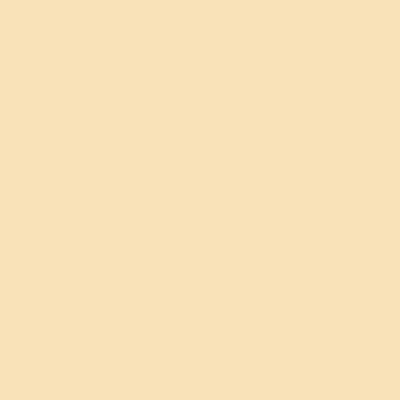 Beige - Custom Socks Now