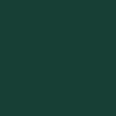 Forest Green - Custom Socks Now