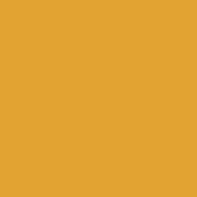 Gold - Custom Socks Now
