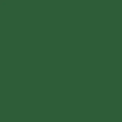 Green - Custom Socks Now