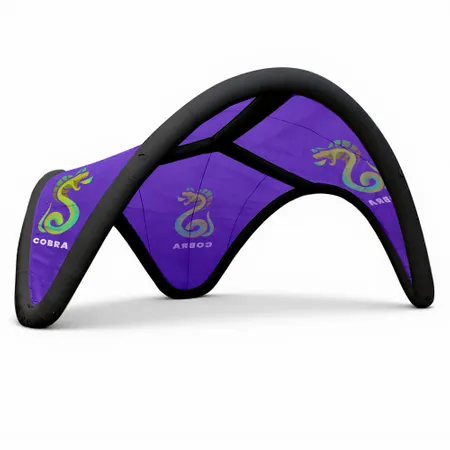 16 ft. x 16 ft. Inflatable Trident Tents 16 ft. x 16 ft. Inflatable Trident Tents - Custom Socks Now