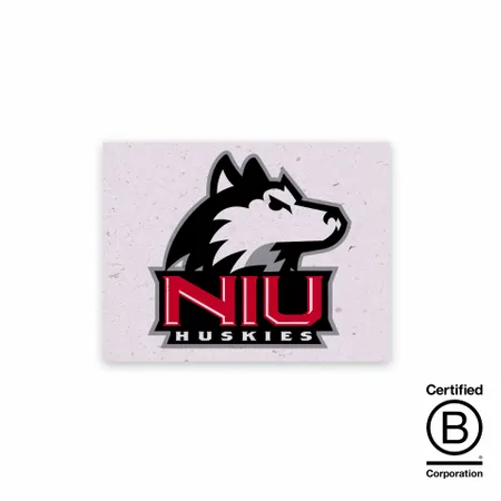 Seed Paper Panel Cards - Custom Socks Now