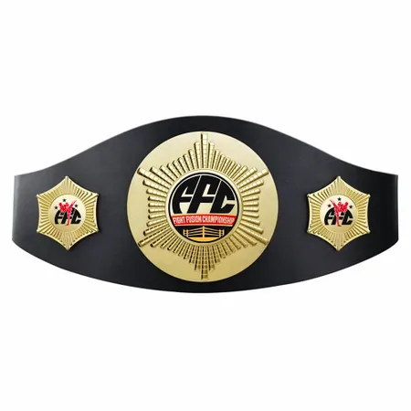 Custom Perpetual Champion Belts - Custom Socks Now