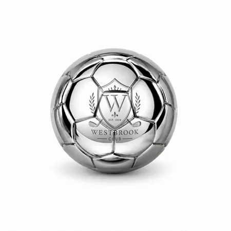 Soccer Ball Stainless Steel Ice Cubes - Custom Socks Now