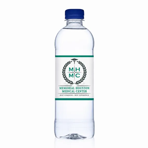 16.9 oz Bullet Bottles – Private Label Water - Custom Socks Now