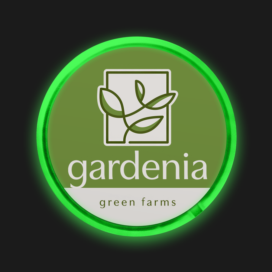 Light Button Pins - Custom Socks Now