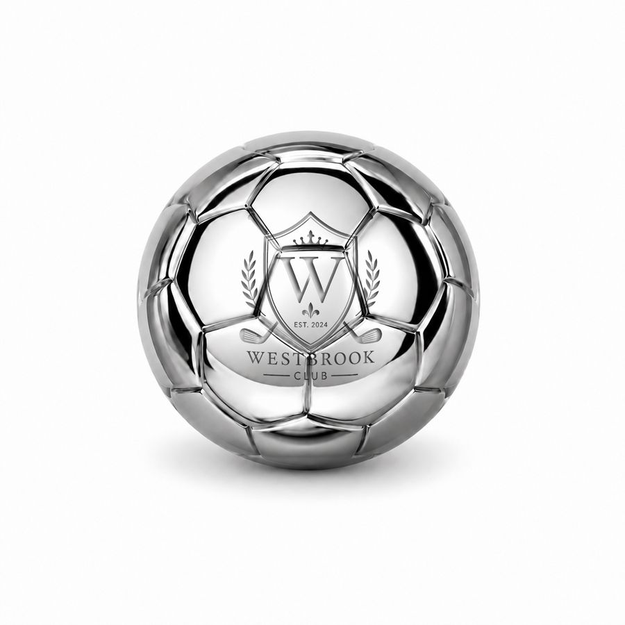 Soccer Ball Stainless Steel Ice Cubes - Custom Socks Now